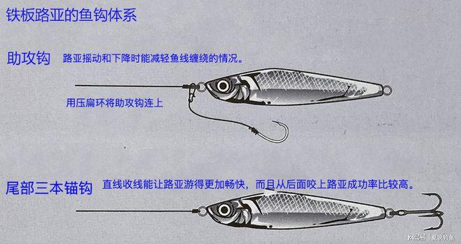 路亚竿可以垂钓吗-第1张图片-彩蝶百科