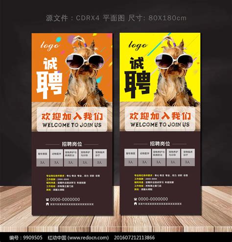 1.宠物行业定制功能-第1张图片-彩蝶百科
