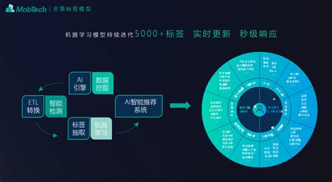 善林金融执行阶段-第1张图片-彩蝶百科