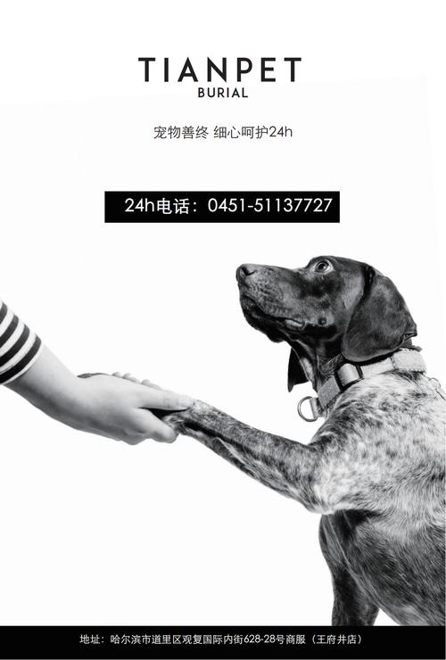 城市宠物火化价格-第1张图片-彩蝶百科
