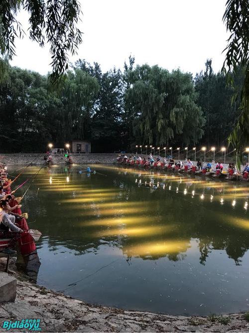 卧龙泉衡水小坛50-第1张图片-彩蝶百科 卧龙泉衡水小坛50-第1张图片-彩蝶百科