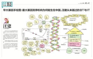 阶段一：数据收集-第1张图片-彩蝶百科