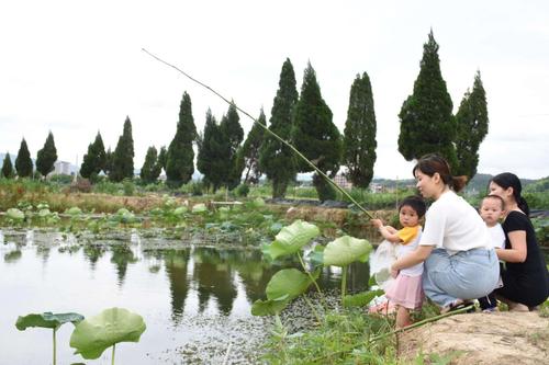 奎屯龙跃海鲜批发部-第1张图片-彩蝶百科 奎屯龙跃海鲜批发部-第1张图片-彩蝶百科