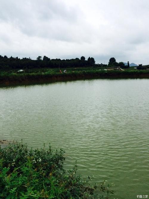 垂钓基地建设方案-第1张图片-彩蝶百科