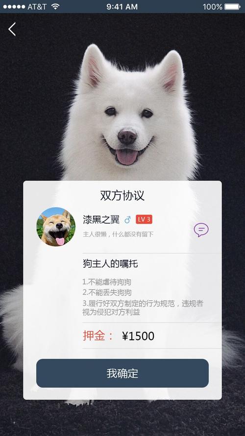 宠物直播平台哪个好-第1张图片-彩蝶百科