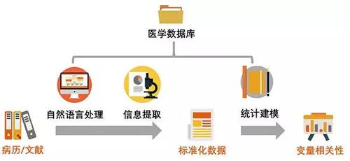 医疗大数据论文-第1张图片-彩蝶百科