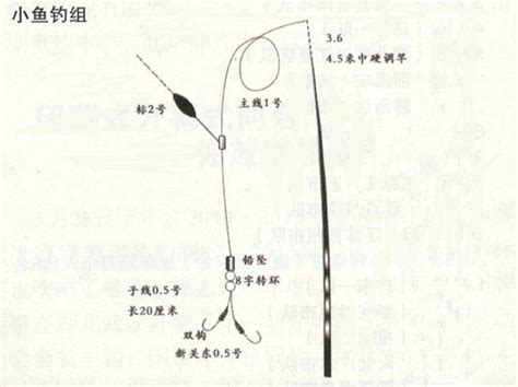 技巧：-第1张图片-彩蝶百科