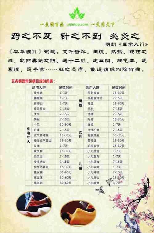 崇明区大数据智能艾灸服务费用指南-第1张图片-彩蝶百科