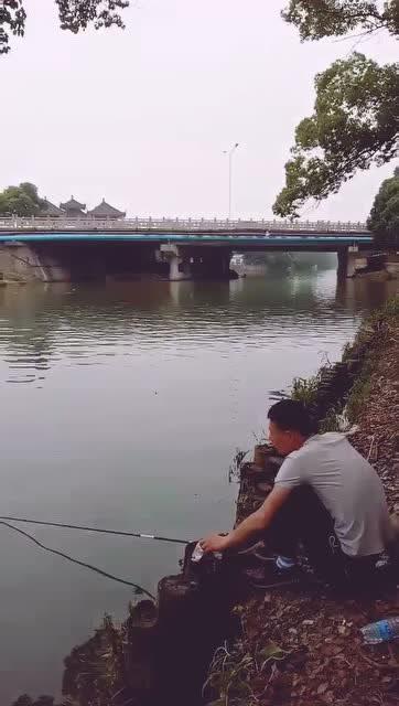 长沙望城斑马湖发展潜力-第1张图片-彩蝶百科 长沙望城斑马湖发展潜力-第1张图片-彩蝶百科