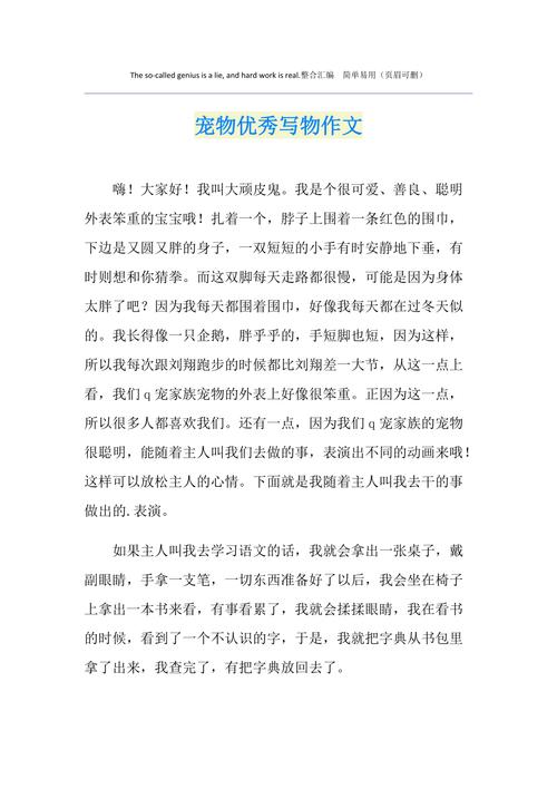评论宠物的说说-第1张图片-彩蝶百科