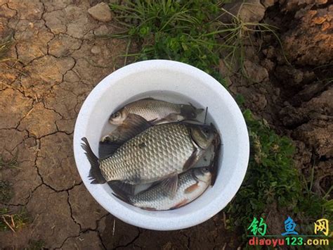 信阳休闲垂钓农家乐-第1张图片-彩蝶百科
