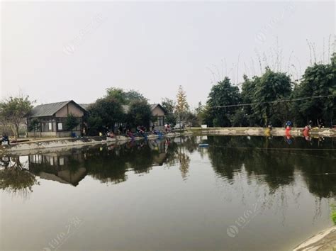 六安海边-第1张图片-彩蝶百科
