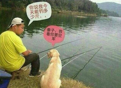惊蛰千田-第1张图片-彩蝶百科 惊蛰千田-第1张图片-彩蝶百科