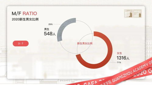 广州图腾信息科技-第1张图片-彩蝶百科