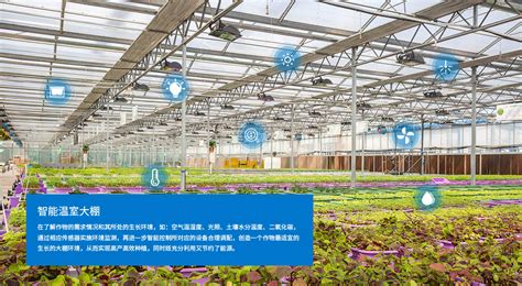 大数据在智慧玻璃温室中的应用-第1张图片-彩蝶百科
