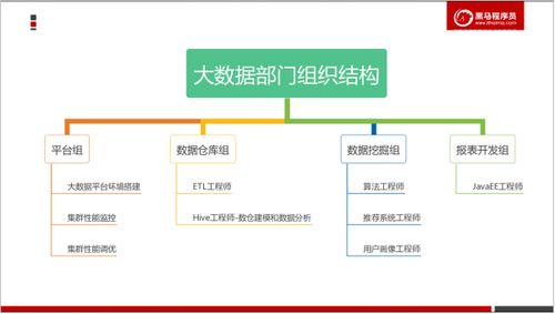 大数据分析的流程步骤-第1张图片-彩蝶百科