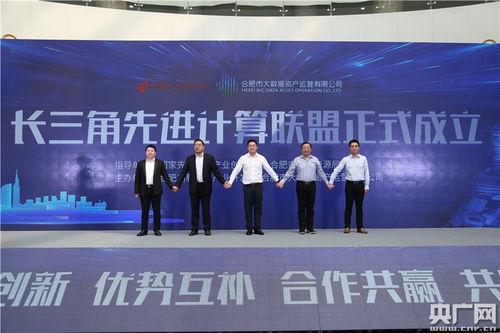 合肥大数据公司-第1张图片-彩蝶百科