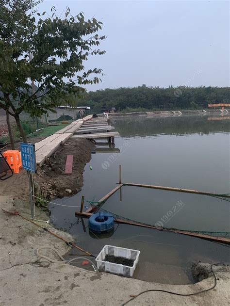 海棠湾附近哪里可以钓鱼-第1张图片-彩蝶百科 海棠湾附近哪里可以钓鱼-第1张图片-彩蝶百科