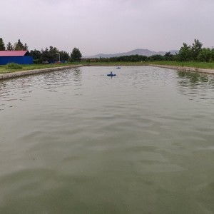 蓝标河图片-第1张图片-彩蝶百科