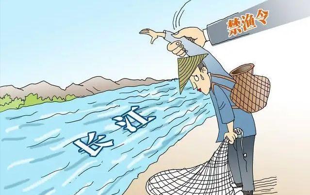 重庆钓鱼举报电话-第1张图片-彩蝶百科