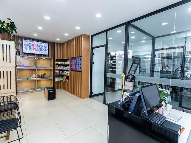 德州宠物用品批发在哪里-第1张图片-彩蝶百科 德州宠物用品批发在哪里-第1张图片-彩蝶百科