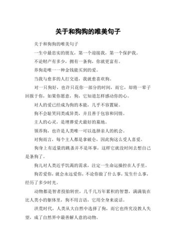养宠物的游戏名字-第1张图片-彩蝶百科