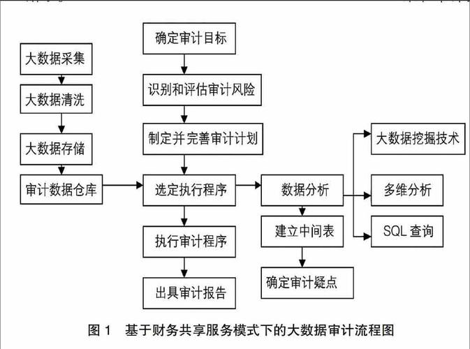 大数据审计案例分析-第1张图片-彩蝶百科 大数据审计案例分析-第1张图片-彩蝶百科