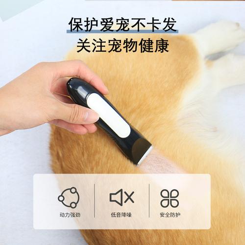宠物推毛顺毛推还是逆毛推-第1张图片-彩蝶百科