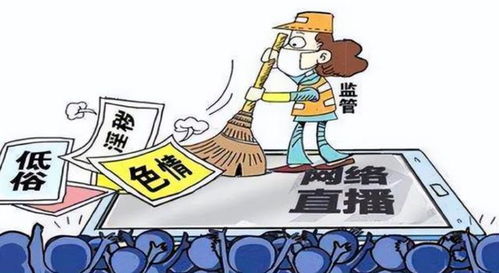 扫码大数据-第1张图片-彩蝶百科 扫码大数据-第1张图片-彩蝶百科
