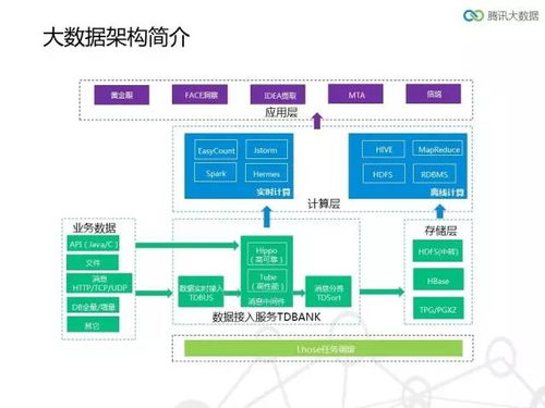 天津移动大数据平台概述-第1张图片-彩蝶百科 天津移动大数据平台概述-第1张图片-彩蝶百科