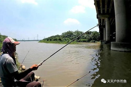3月份钓鱼钓几米-第1张图片-彩蝶百科 3月份钓鱼钓几米-第1张图片-彩蝶百科
