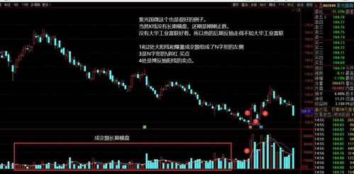 大数据炒股软件有用吗-第1张图片-彩蝶百科