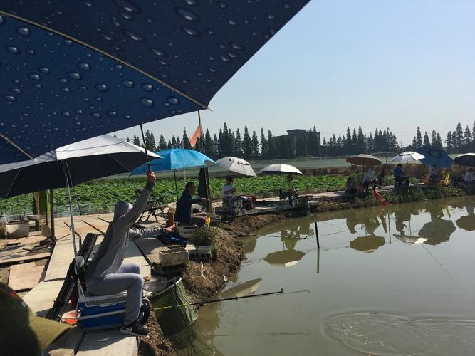 莱芜有什么野钓的景点-第1张图片-彩蝶百科