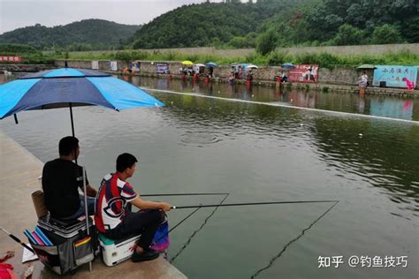 请问钓鲤鱼用什么饵料最好-第1张图片-彩蝶百科
