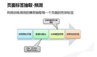 大数据时代用户画像的步骤有哪些-第1张图片-彩蝶百科