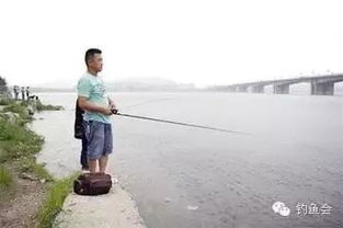 净化水质的鱼种-第1张图片-彩蝶百科 净化水质的鱼种-第1张图片-彩蝶百科