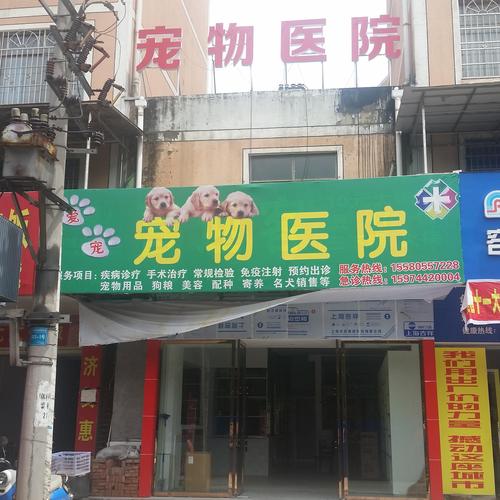宠物医院十里铺-第1张图片-彩蝶百科 宠物医院十里铺-第1张图片-彩蝶百科