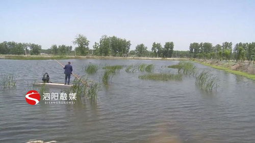 邵阳龙虾批发市场-第1张图片-彩蝶百科