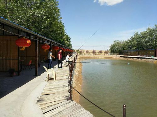 银川野钓-第1张图片-彩蝶百科