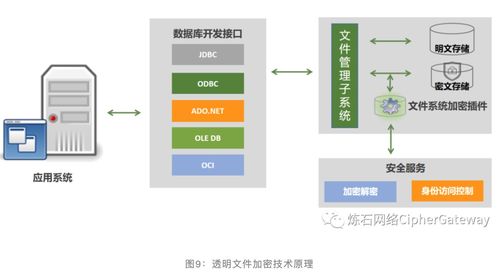 大数据存储中心存储设备-第1张图片-彩蝶百科