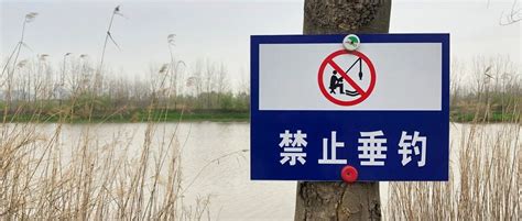 綦江哪里有垂钓的农家乐-第1张图片-彩蝶百科