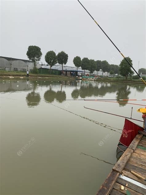 垂钓区域新建300余处：促进生态保护与休闲旅游发展-第1张图片-彩蝶百科