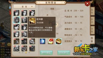 问道手游宠物怎么加血-第1张图片-彩蝶百科 问道手游宠物怎么加血-第1张图片-彩蝶百科
