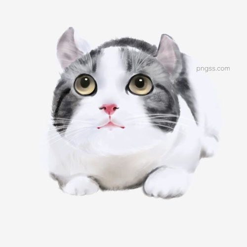 外国宠物场景插画书-第1张图片-彩蝶百科