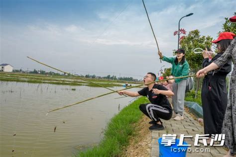 株洲什么位置有小龙虾钓-第1张图片-彩蝶百科 株洲什么位置有小龙虾钓-第1张图片-彩蝶百科