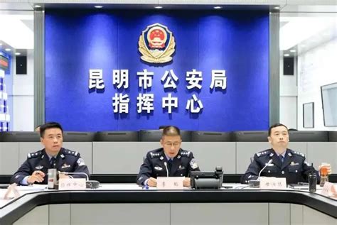 公安疫情数据核查工作总结-第1张图片-彩蝶百科