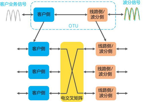 国家大数据-第1张图片-彩蝶百科 国家大数据-第1张图片-彩蝶百科