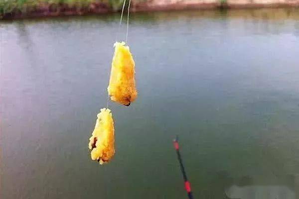 快乐垂钓微商城客服电话-第1张图片-彩蝶百科