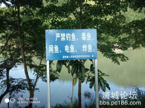 团鱼用什么钓-第1张图片-彩蝶百科 团鱼用什么钓-第1张图片-彩蝶百科