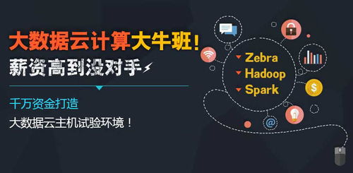 医疗大数据：提升医疗水平的新引擎-第1张图片-彩蝶百科